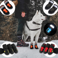 Pet | Dog Accessories